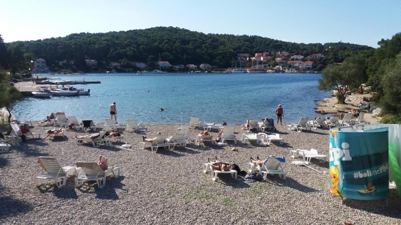 Jagoda Apartman Zrnovo Exteriör bild