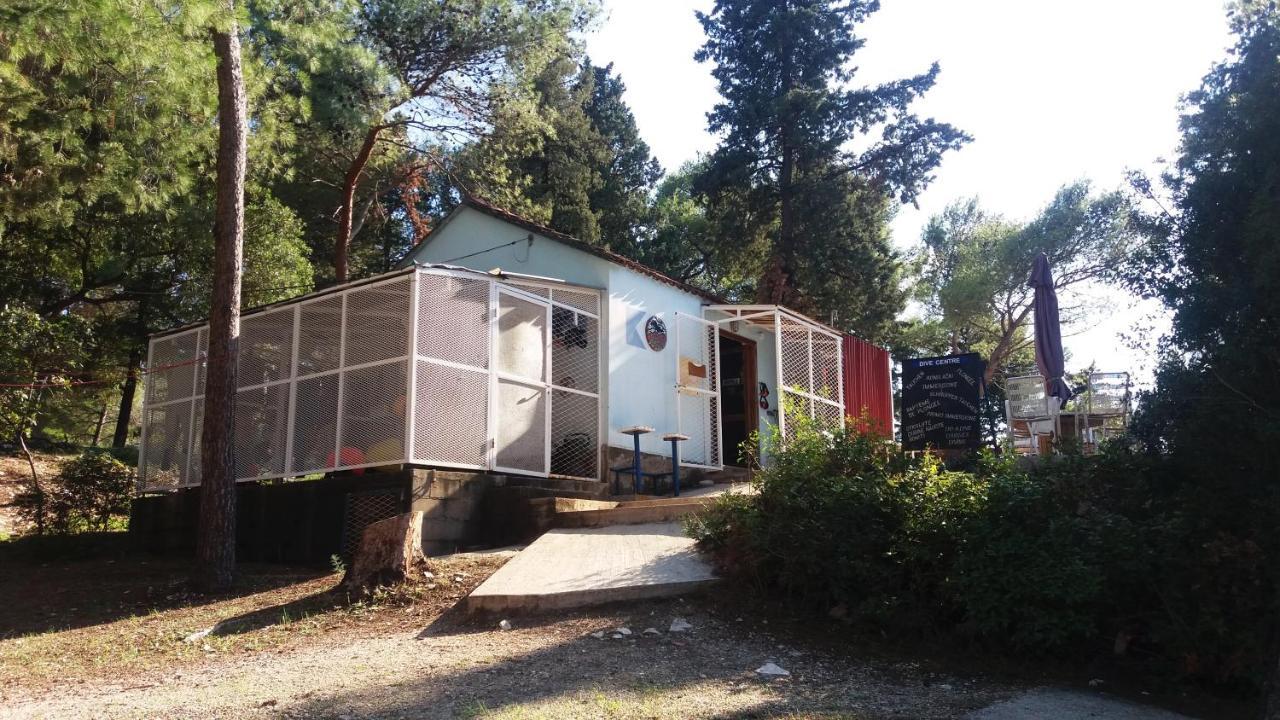 Jagoda Apartman Zrnovo Exteriör bild