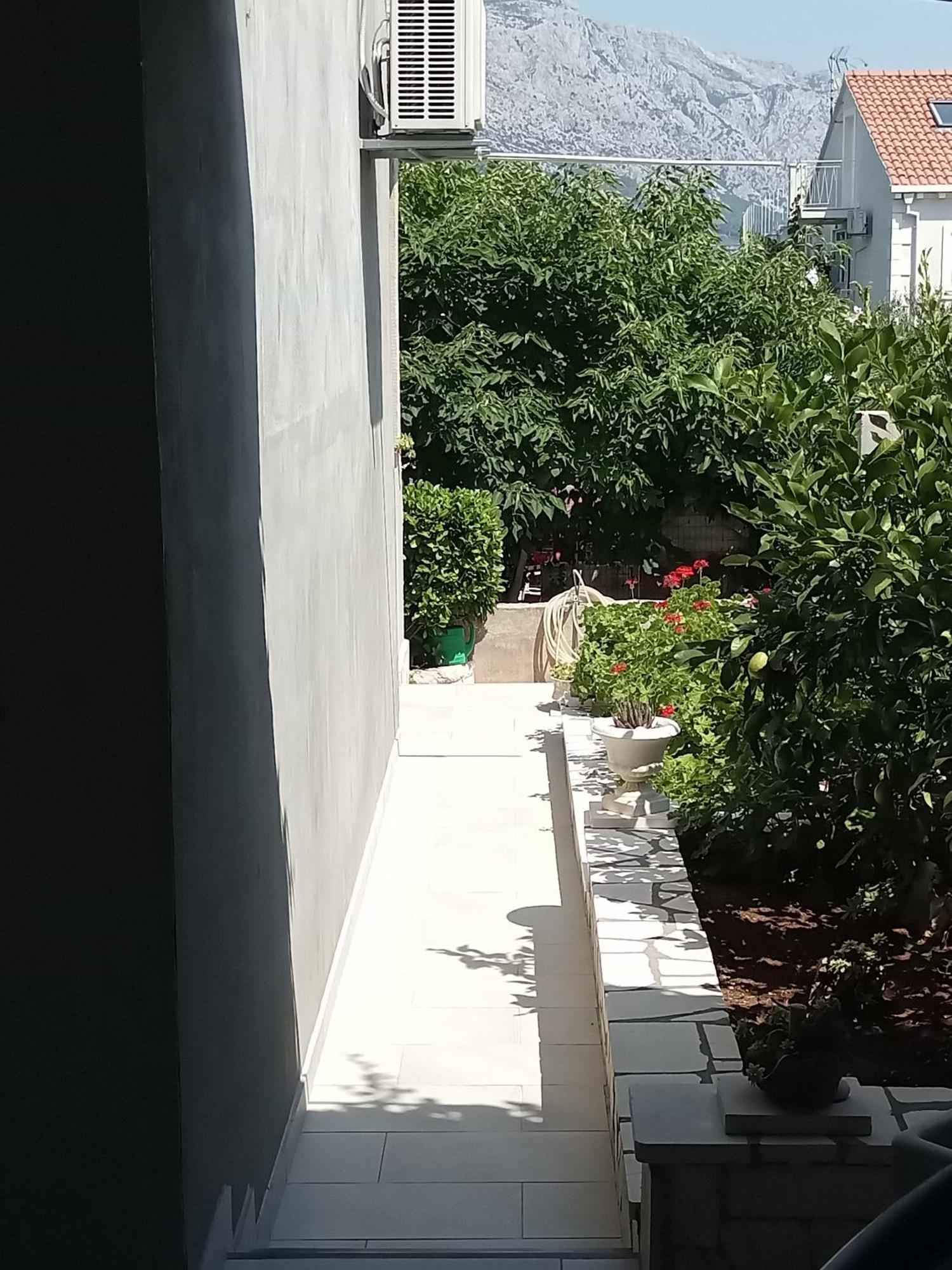Jagoda Apartman Zrnovo Exteriör bild
